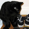 2010-10-04 Nouvelles chaussures_l.jpg